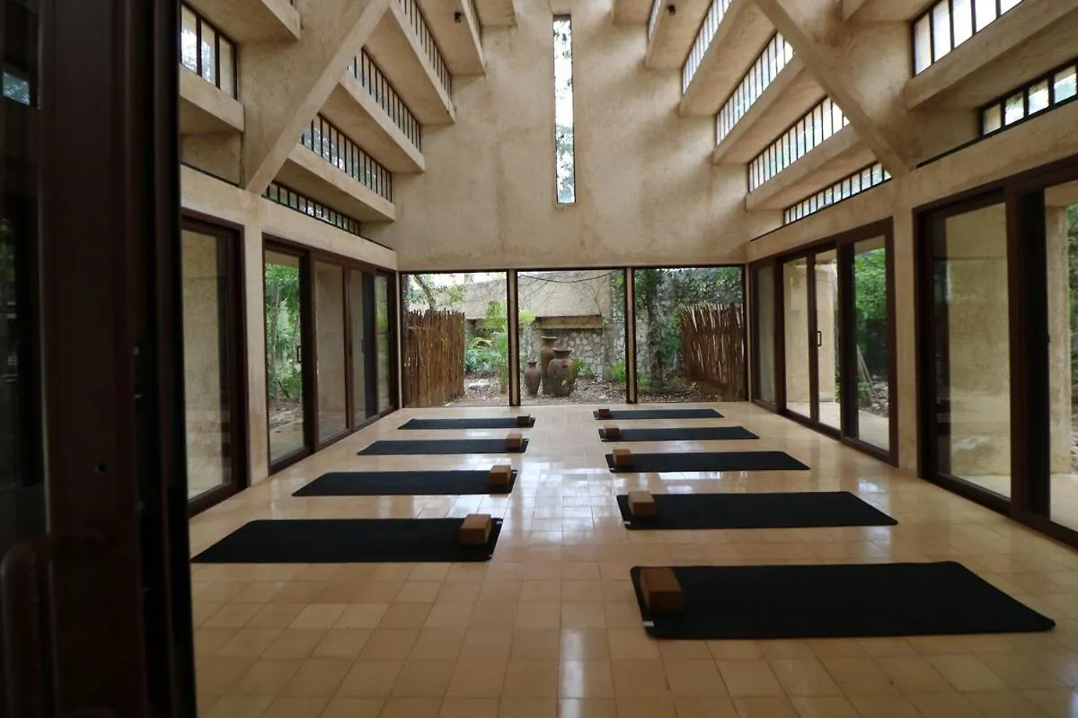Lush Jungle Retreat Gated Community & Concierge Apartment Tulum